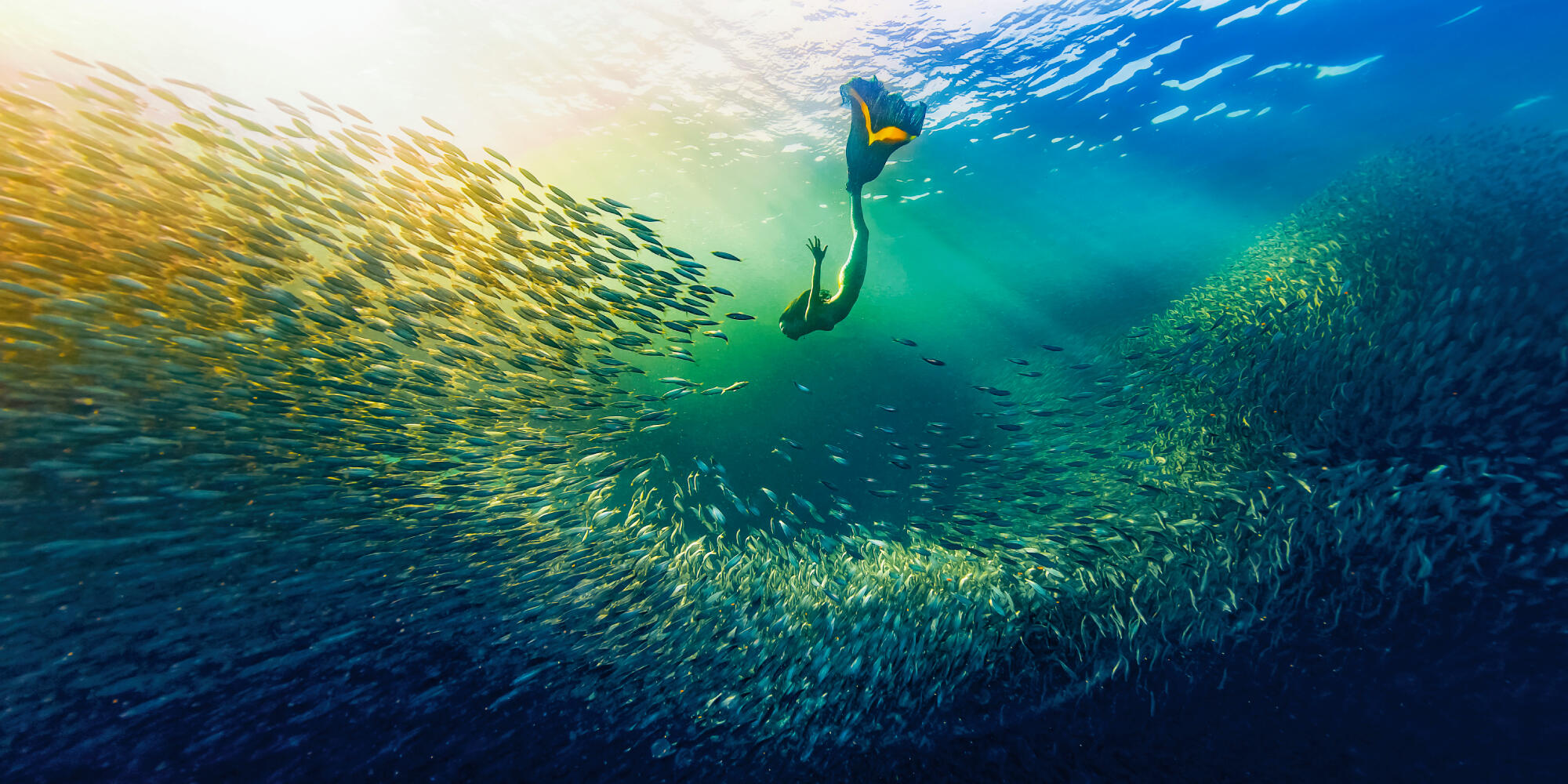 Ocean Photographer of the Year | Australian National