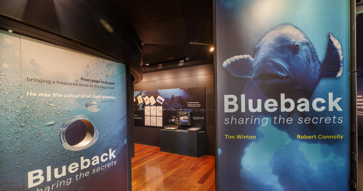 Learn with Blueback | Australian National Maritime Museum