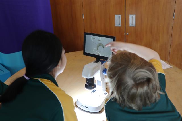 Students looking at a microscope screen
