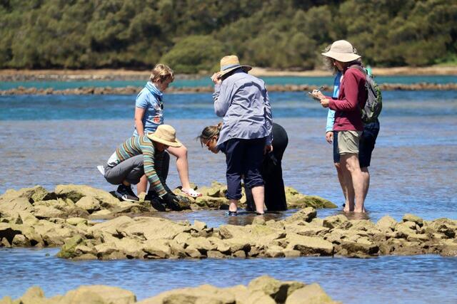 Group of people around a rock pool