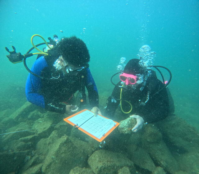 2 scuba divers underwater with a clipboard