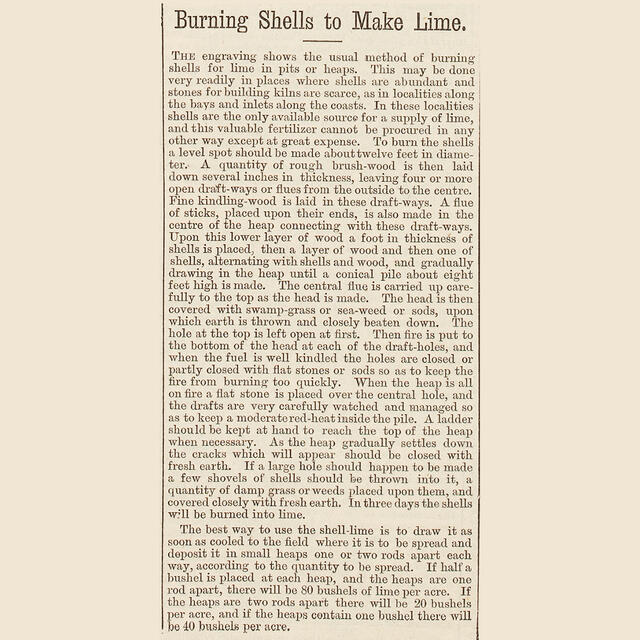 Image of article describing burning shells to make lime.