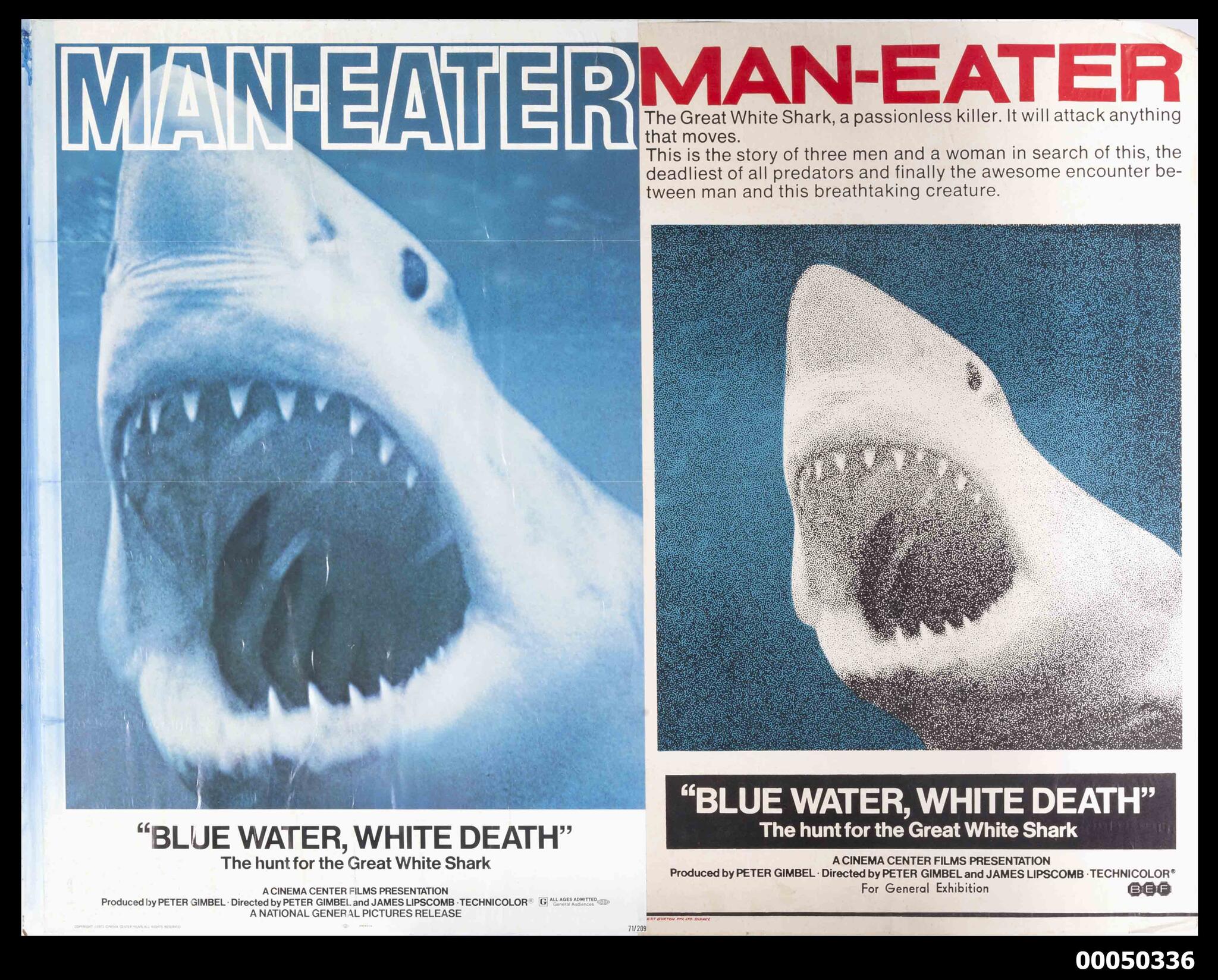 The death of sharks | Australian National Maritime Museum