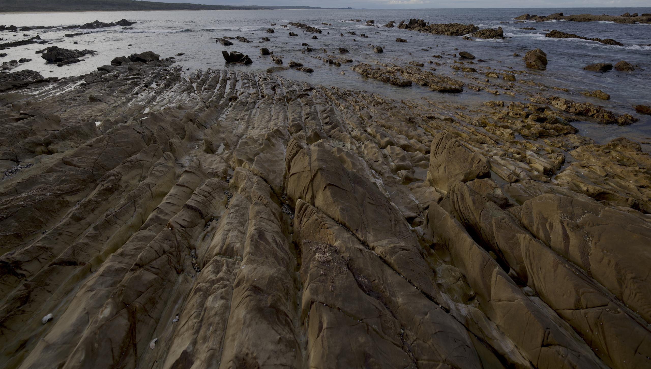Rockpools at low tide.
