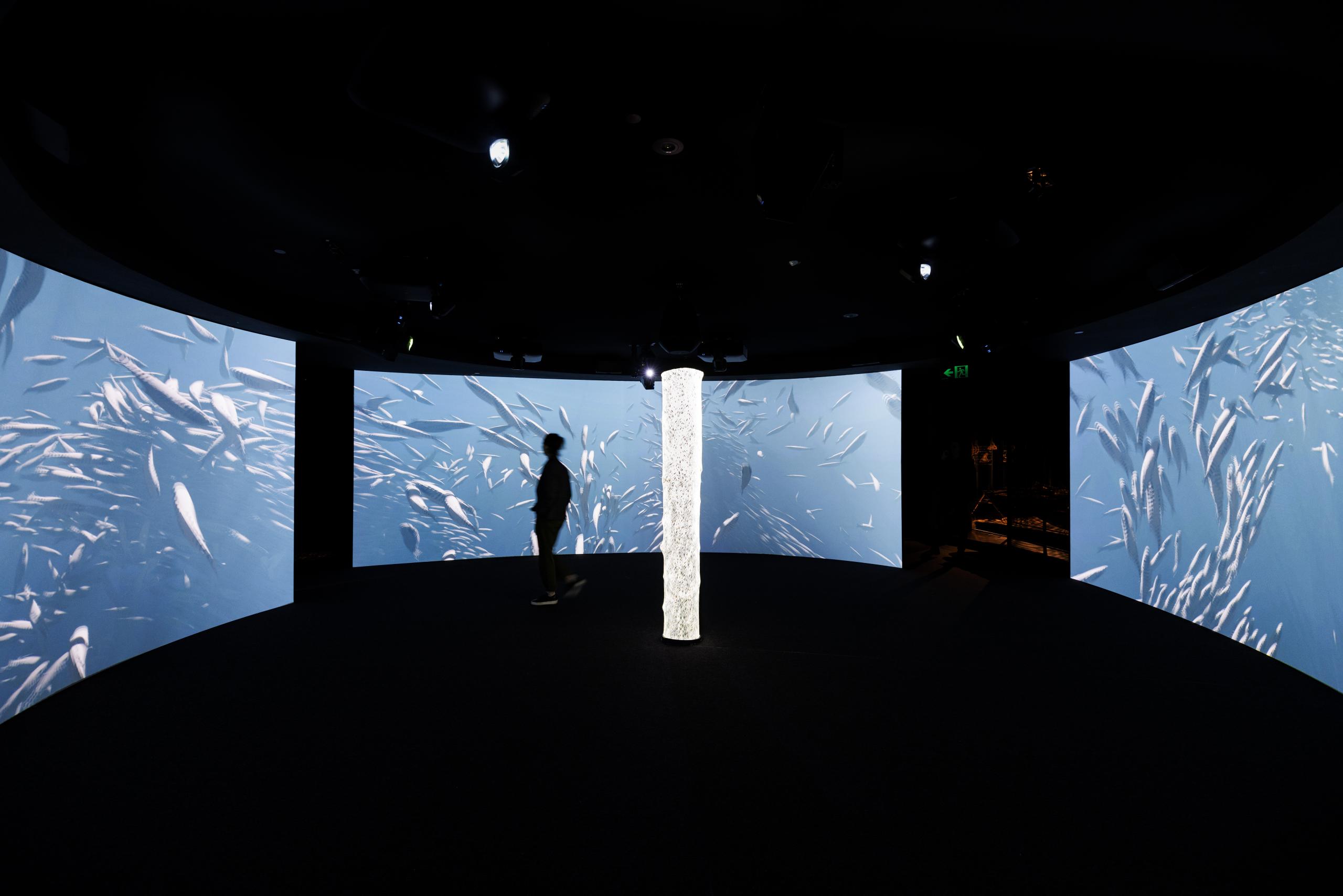 Exhibition view of digital immersive