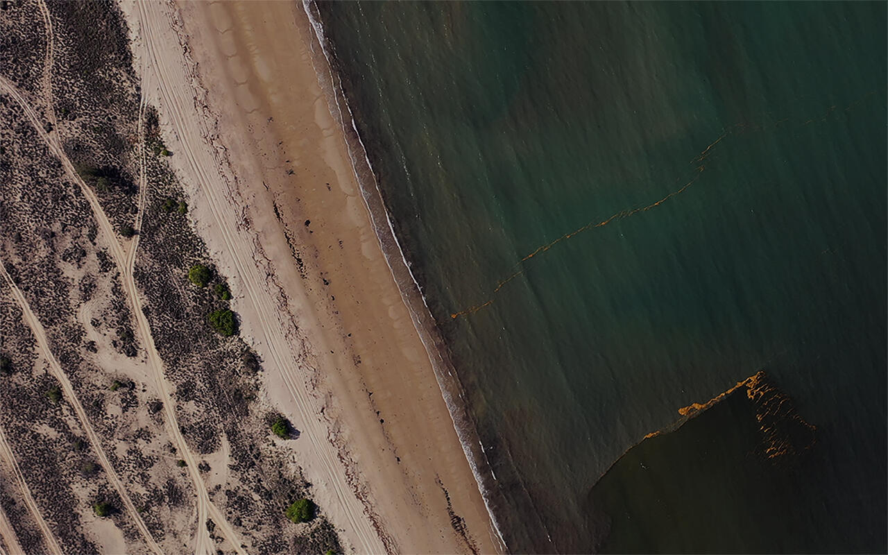 A bird's eye view of the coast