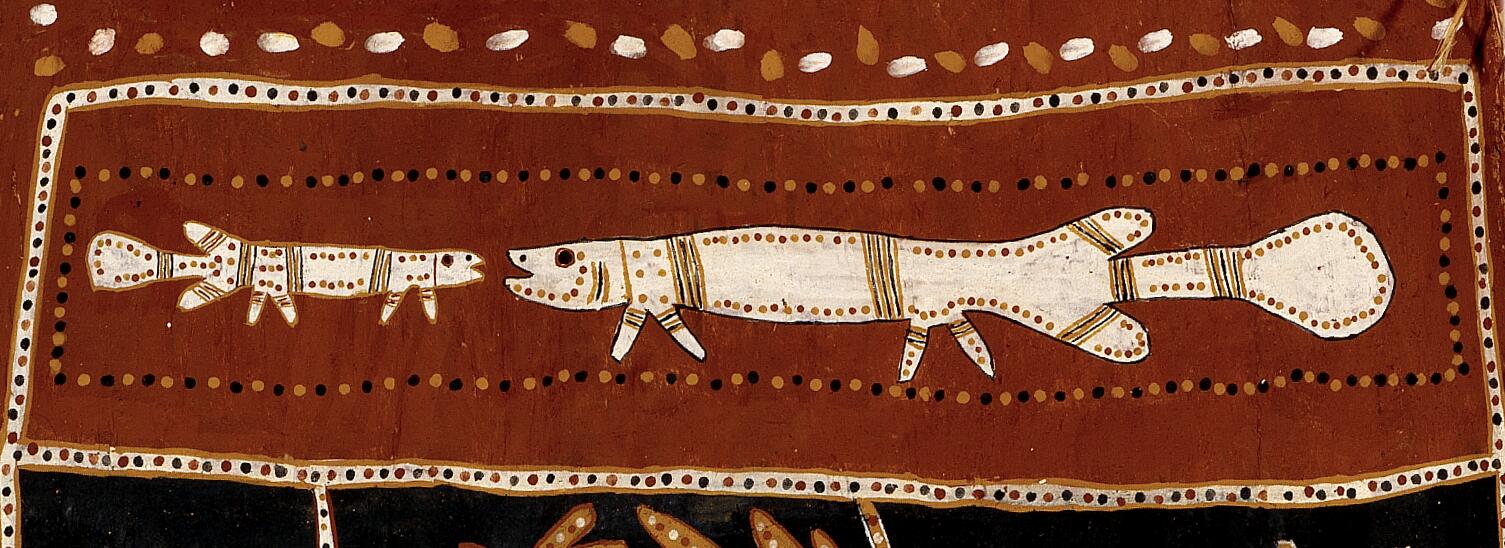 Bark painted with coloured ochres showing two fish